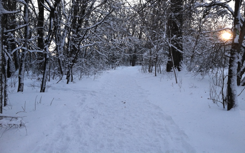 Walking Through Woods On A Snowy Evening Printable